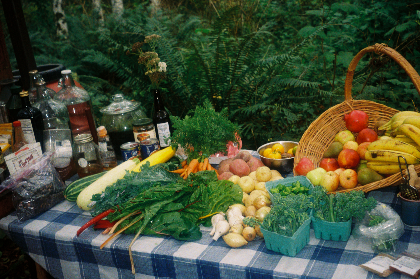 EarthTime: An Outdoor Retreat