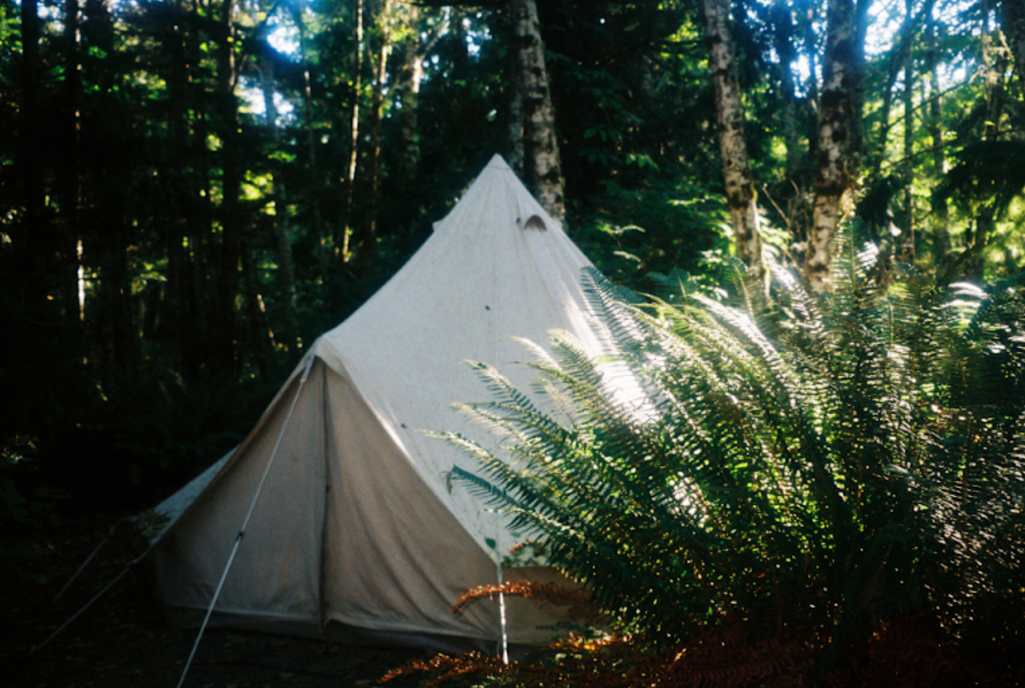 EarthTime: An Outdoor Retreat
