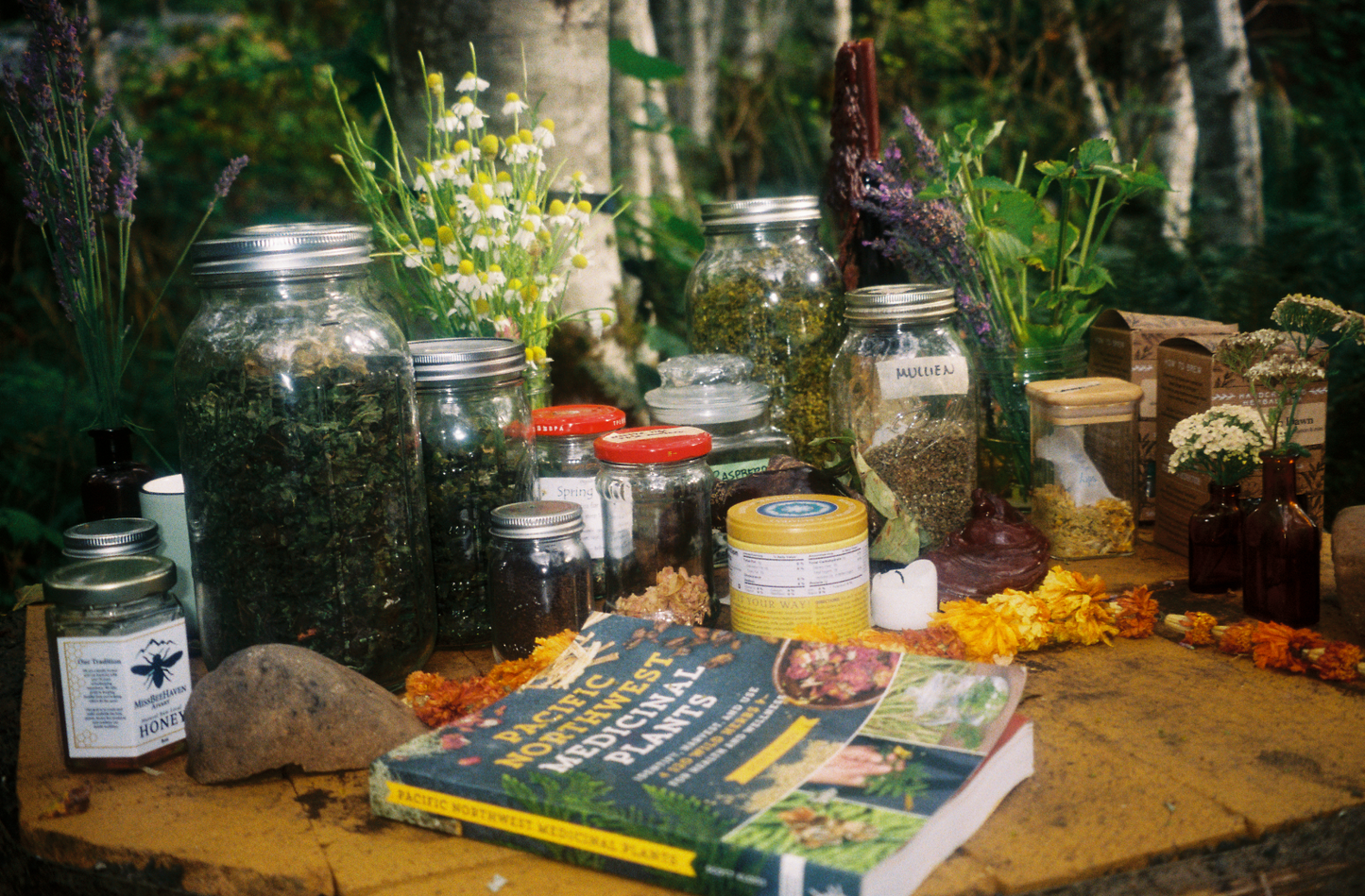 EarthTime: An Outdoor Retreat