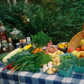 EarthTime: An Outdoor Retreat