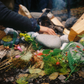 EarthTime: An Outdoor Retreat